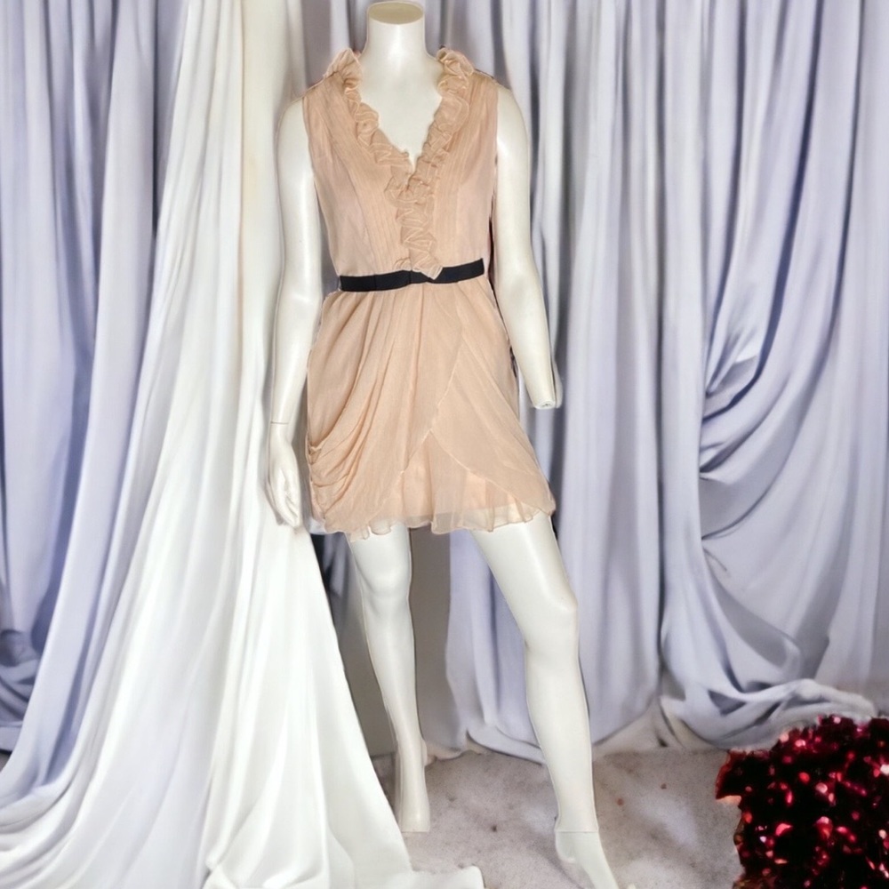 Vera wang rose mini cocktail dress small